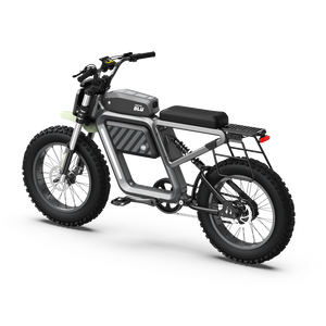 Expandable Side Rack for E-Bike